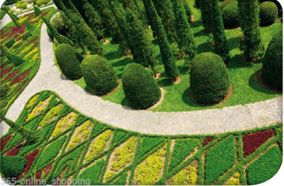 15cmx 30m Green Plastic Edging Garden, Flower Beds -Lawn Edge Border Fence Wall Path New - Image 4