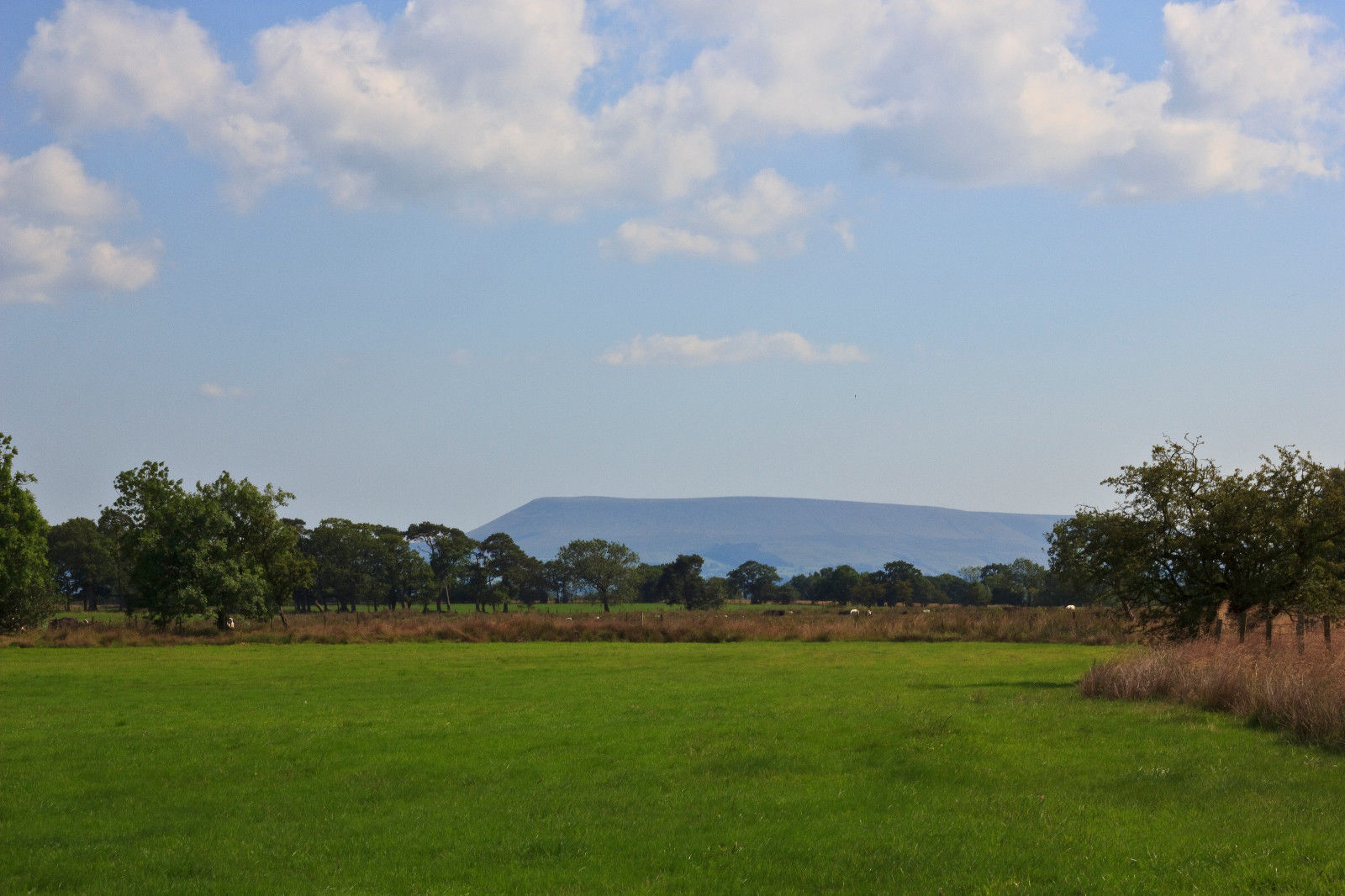 Trip caravan to lease - pets go free provide! Yorkshire Dales - Image 8